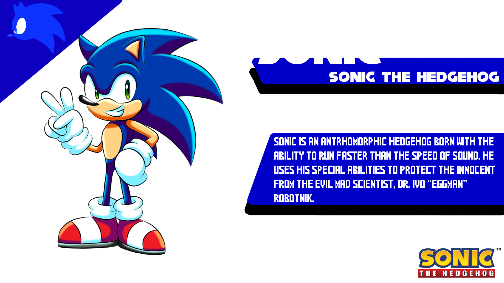 Sonic Char Info.png
